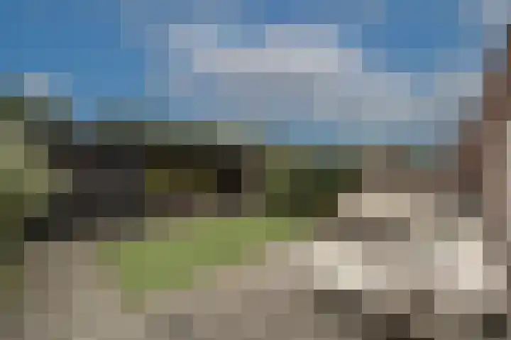 Landheerlaan 1 D Mijnsheerenland thumbnail 30