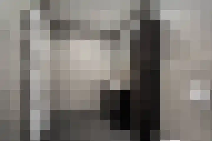 Landheerlaan 20 Mijnsheerenland thumbnail 12