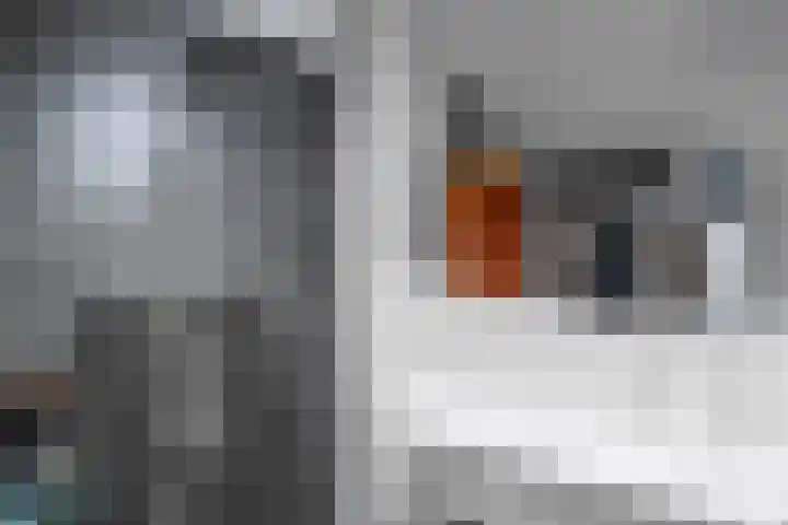 Landheerlaan 20 Mijnsheerenland thumbnail 13