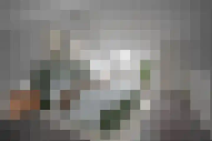 Landheerlaan 20 Mijnsheerenland thumbnail 16