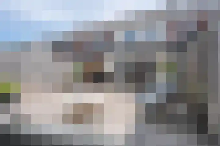 Landheerlaan 20 Mijnsheerenland thumbnail 17
