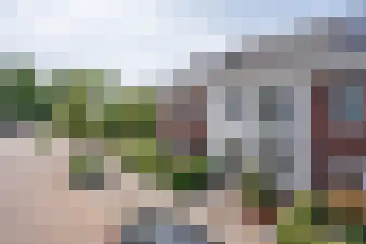 Landheerlaan 20 Mijnsheerenland thumbnail 19