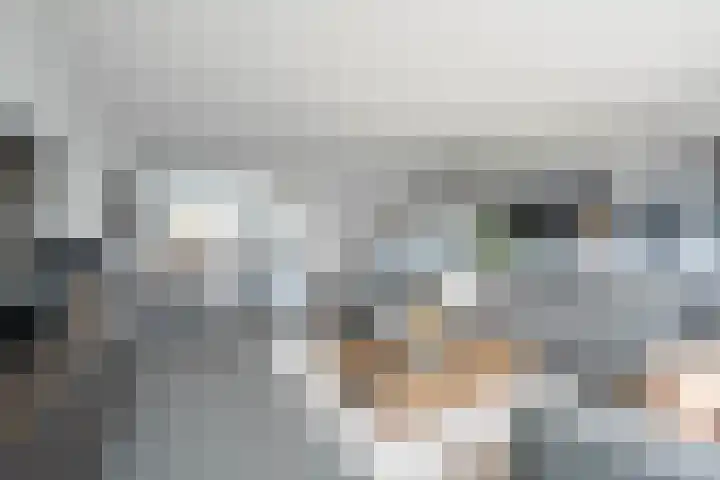 Landheerlaan 20 Mijnsheerenland thumbnail 24