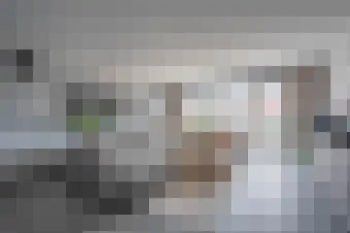 Landheerlaan 20 Mijnsheerenland thumbnail 4