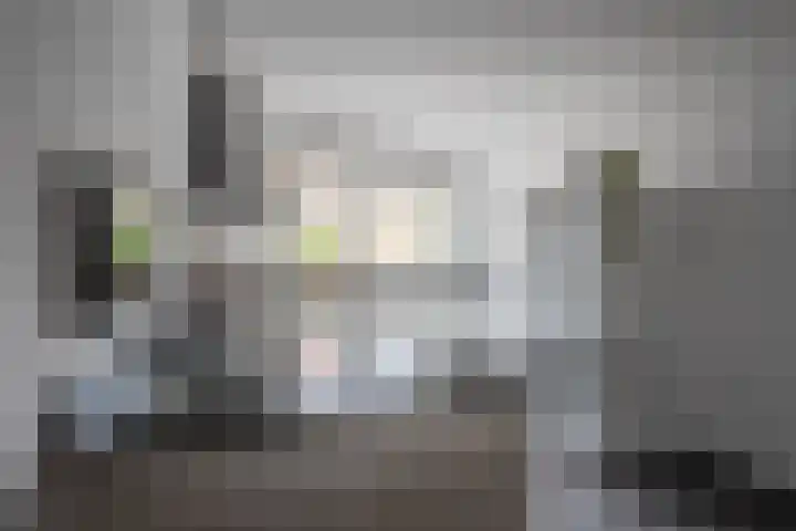 Landheerlaan 20 Mijnsheerenland thumbnail 8