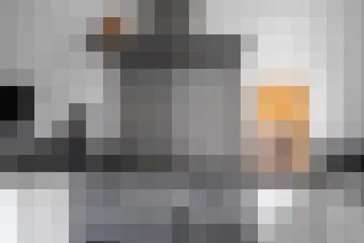 Landheerlaan 20 Mijnsheerenland thumbnail 9
