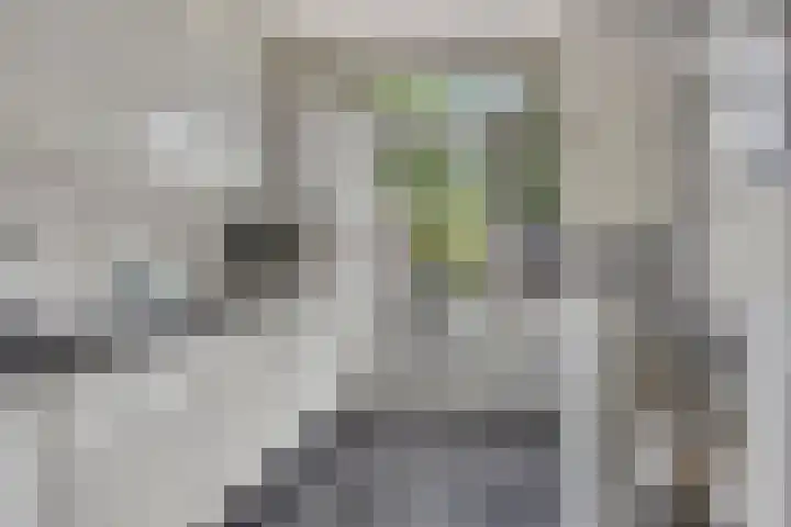 Landheining 10 Breda thumbnail 13