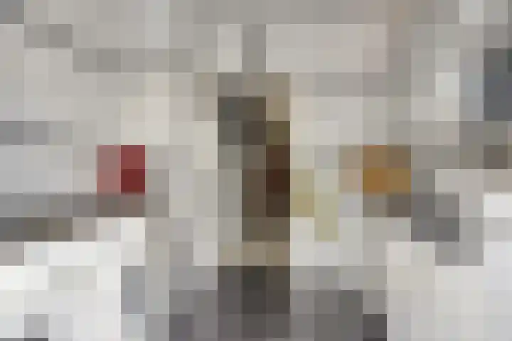 Landheining 10 Breda thumbnail 14