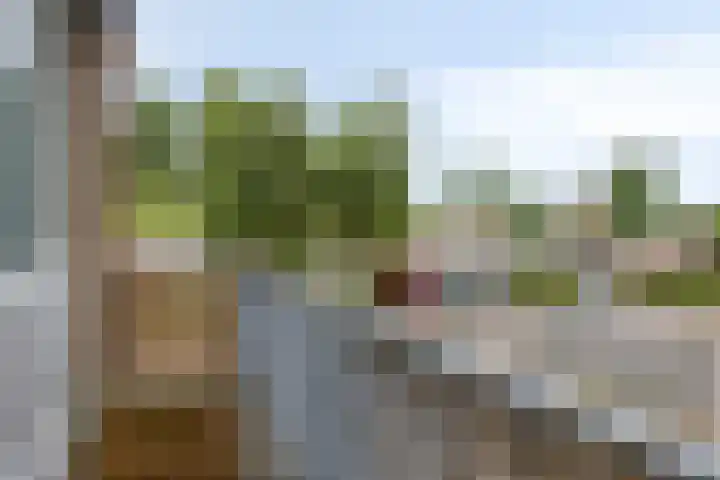 Landheining 10 Breda thumbnail 18