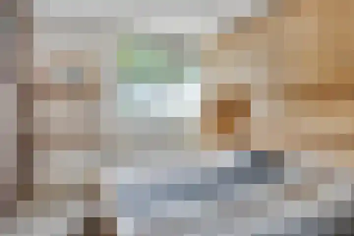 Landheining 10 Breda thumbnail 20