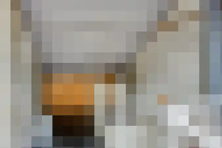 Landheining 10 Breda thumbnail 26