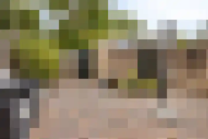 Landheining 10 Breda thumbnail 30