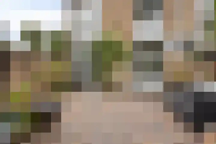 Landheining 10 Breda thumbnail 31