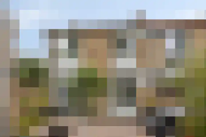 Landheining 10 Breda thumbnail 32