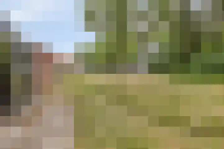 Landheining 10 Breda thumbnail 33