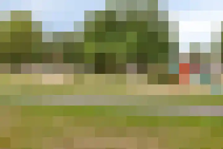Landheining 10 Breda thumbnail 34