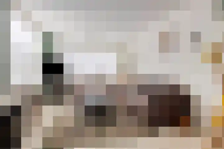 Landheining 10 Breda thumbnail 9