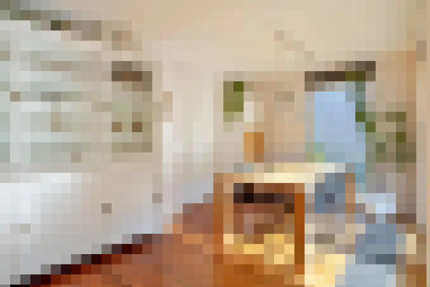 Landheuvel 1 Best thumbnail 18