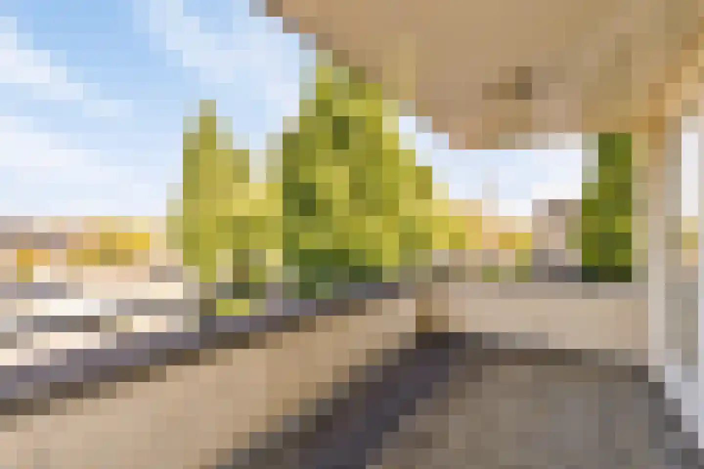 Landheuvel 1 Best thumbnail 40