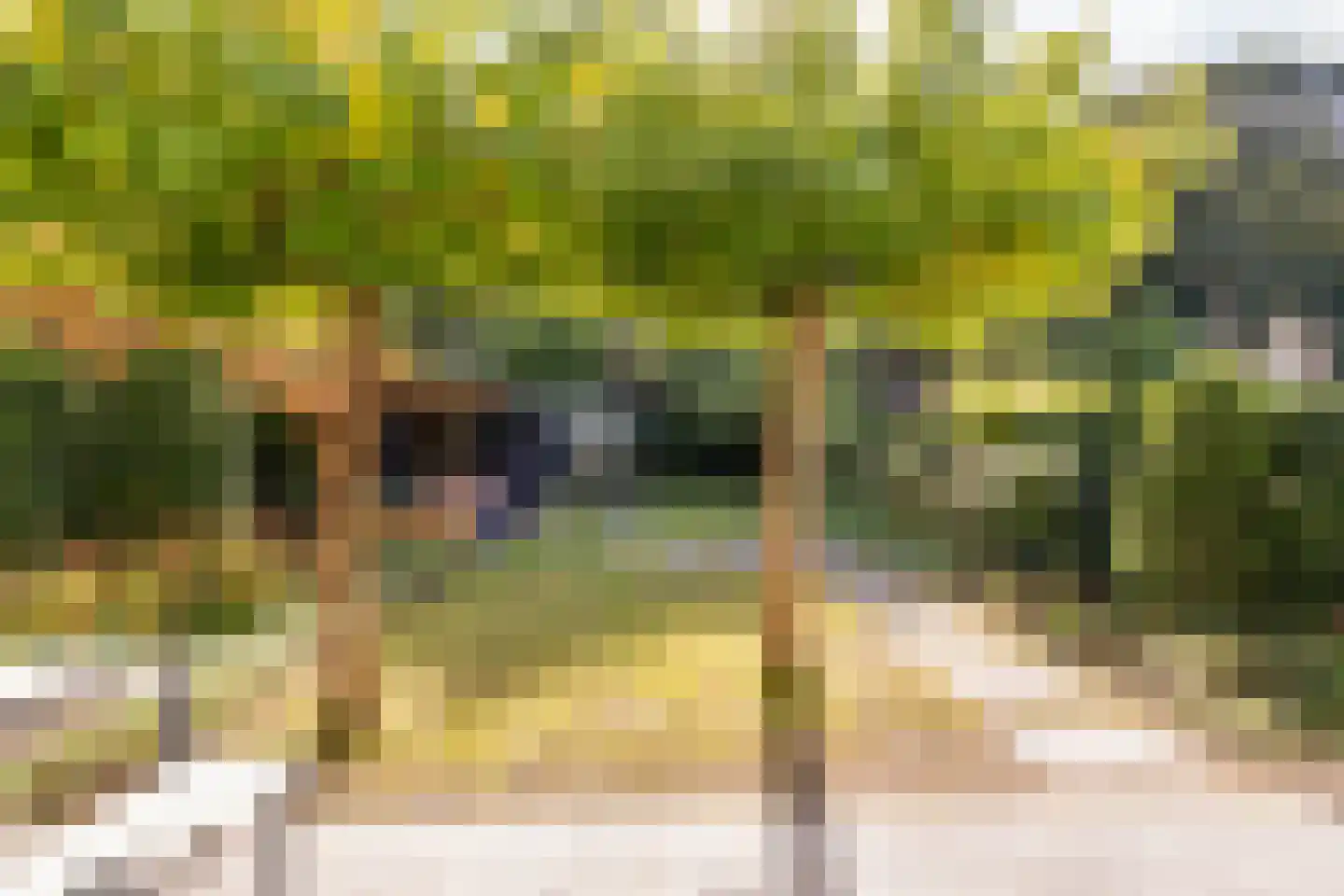 Landheuvel 1 Best thumbnail 42