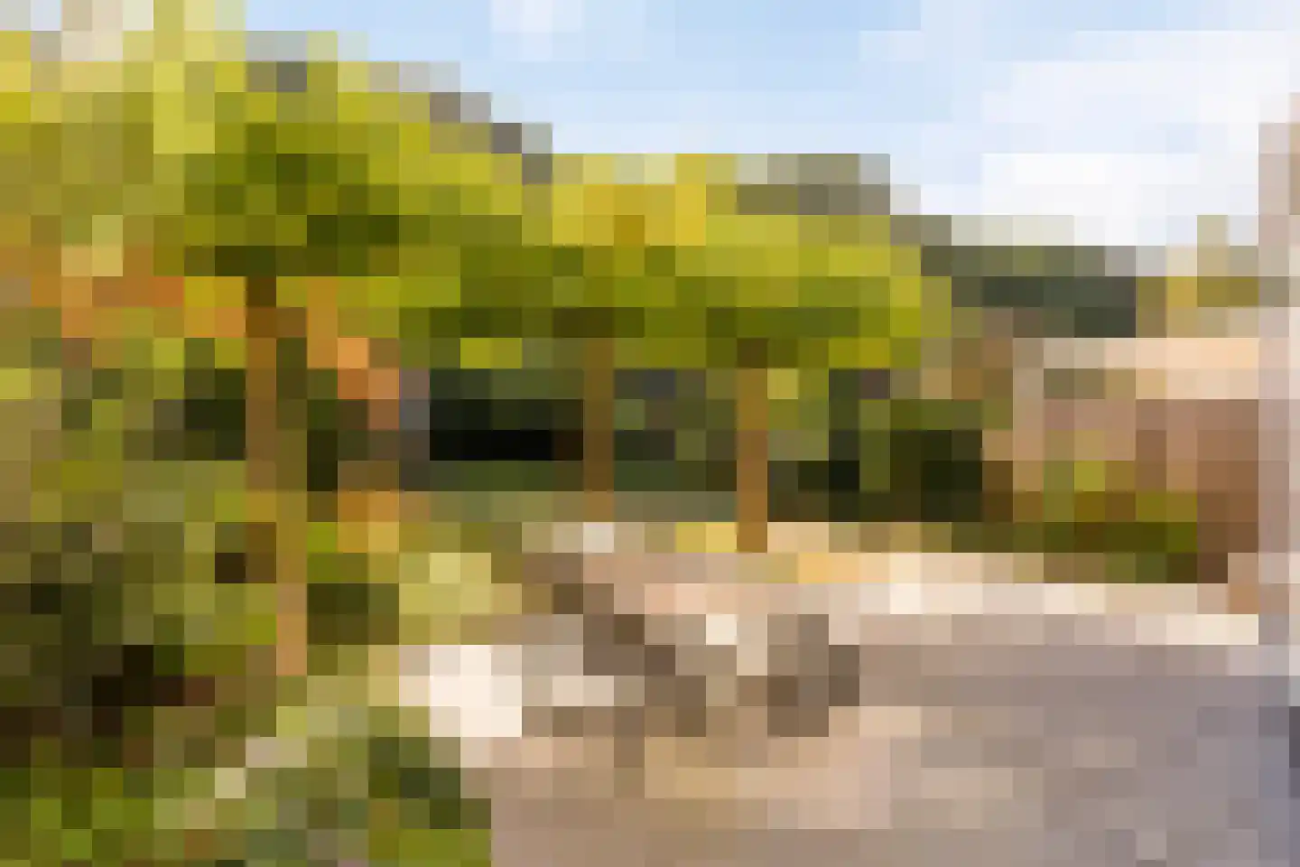 Landheuvel 1 Best thumbnail 45