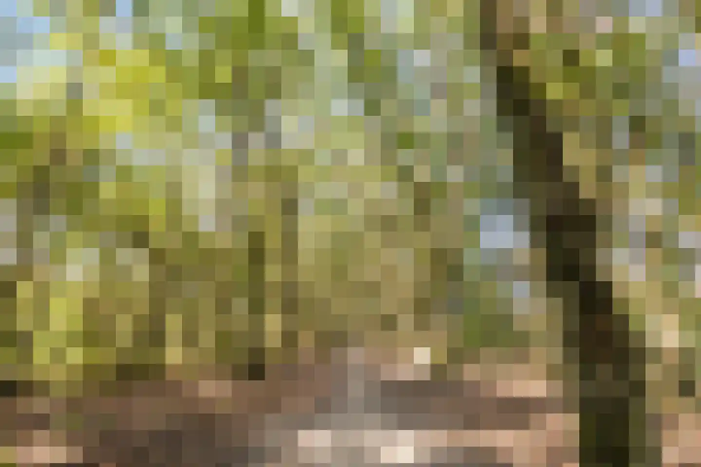 Landheuvel 1 Best thumbnail 52