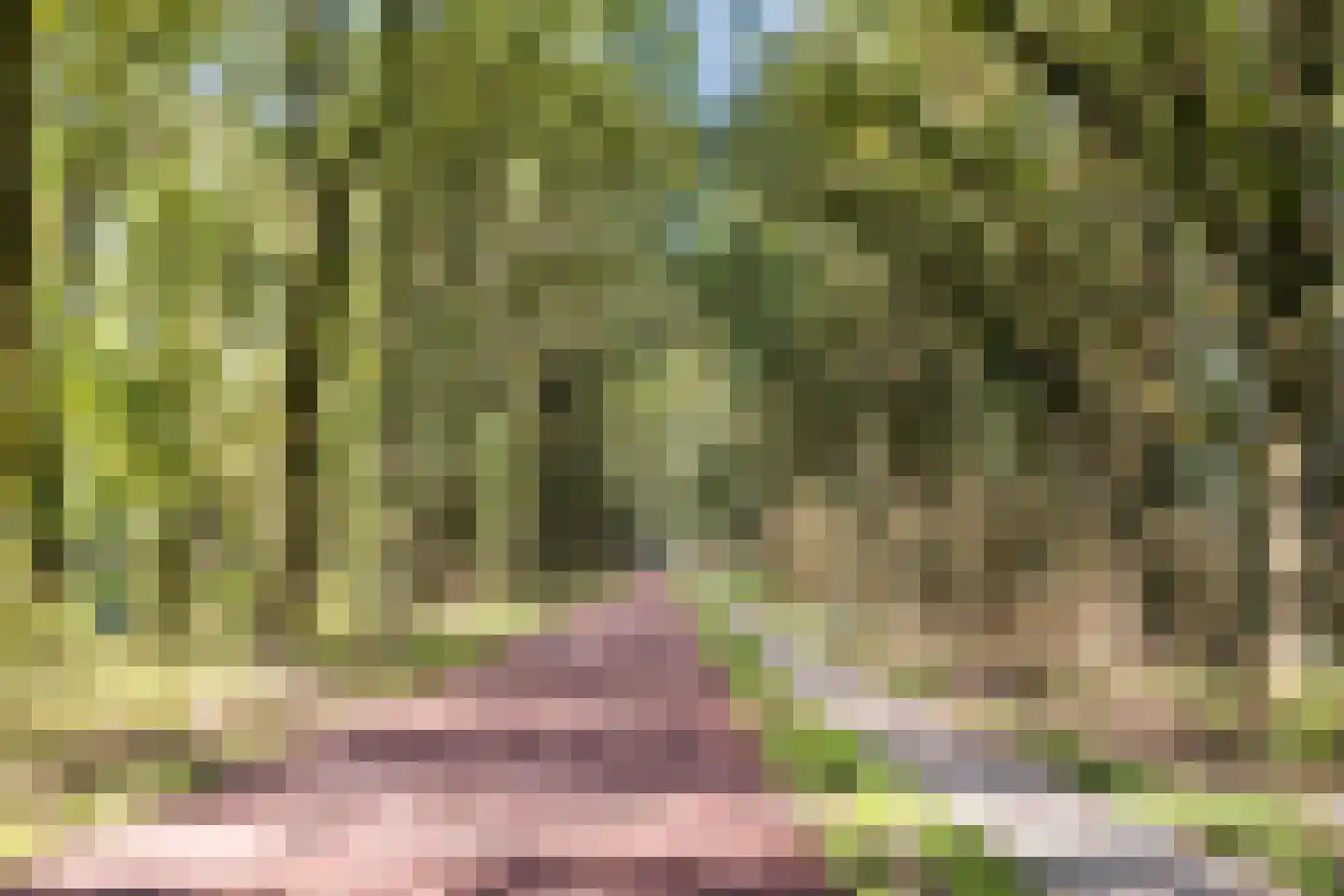 Landheuvel 1 Best thumbnail 53