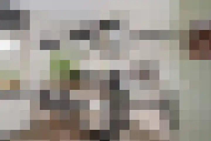 Landhoofd 45 Hellevoetsluis thumbnail 16