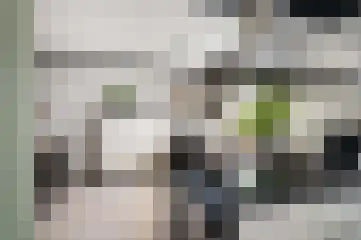 Landhoofd 45 Hellevoetsluis thumbnail 18