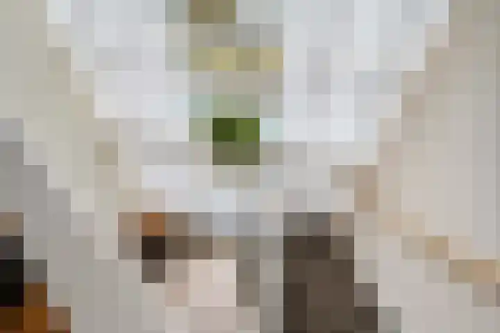 Landhoofd 45 Hellevoetsluis thumbnail 24