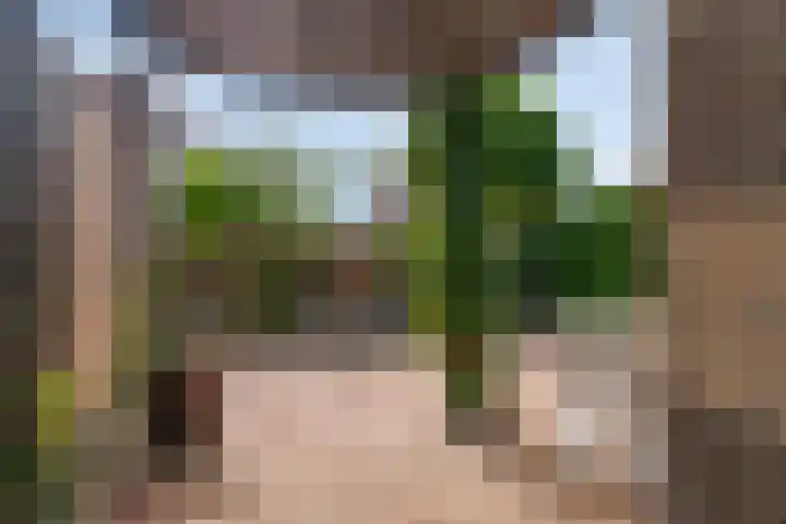 Landhoofd 53 Hellevoetsluis thumbnail 17