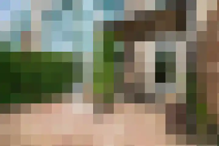 Landhoofd 53 Hellevoetsluis thumbnail 18