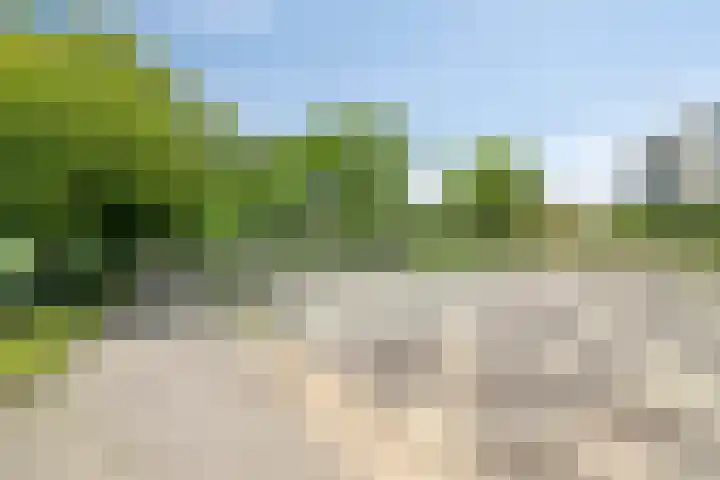 Landhoofd 53 Hellevoetsluis thumbnail 40