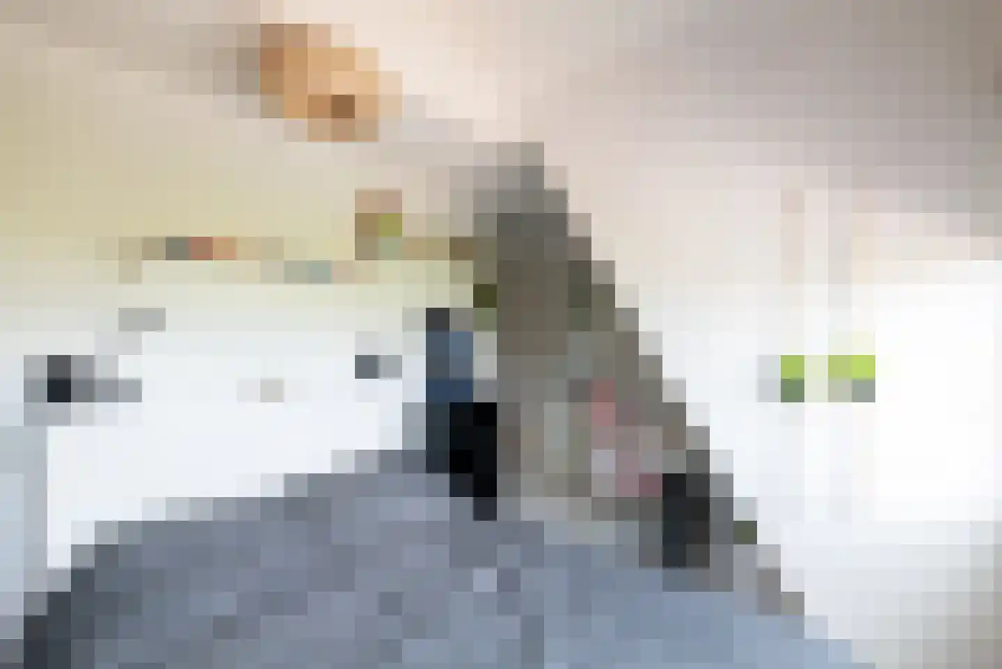 Landhoofd 56 Hellevoetsluis thumbnail 31
