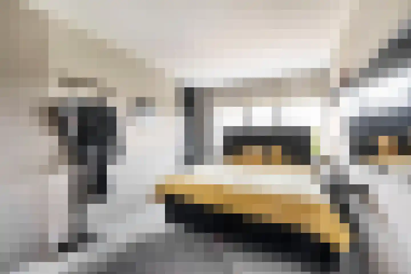 Landhoofd 64 Hellevoetsluis thumbnail 26