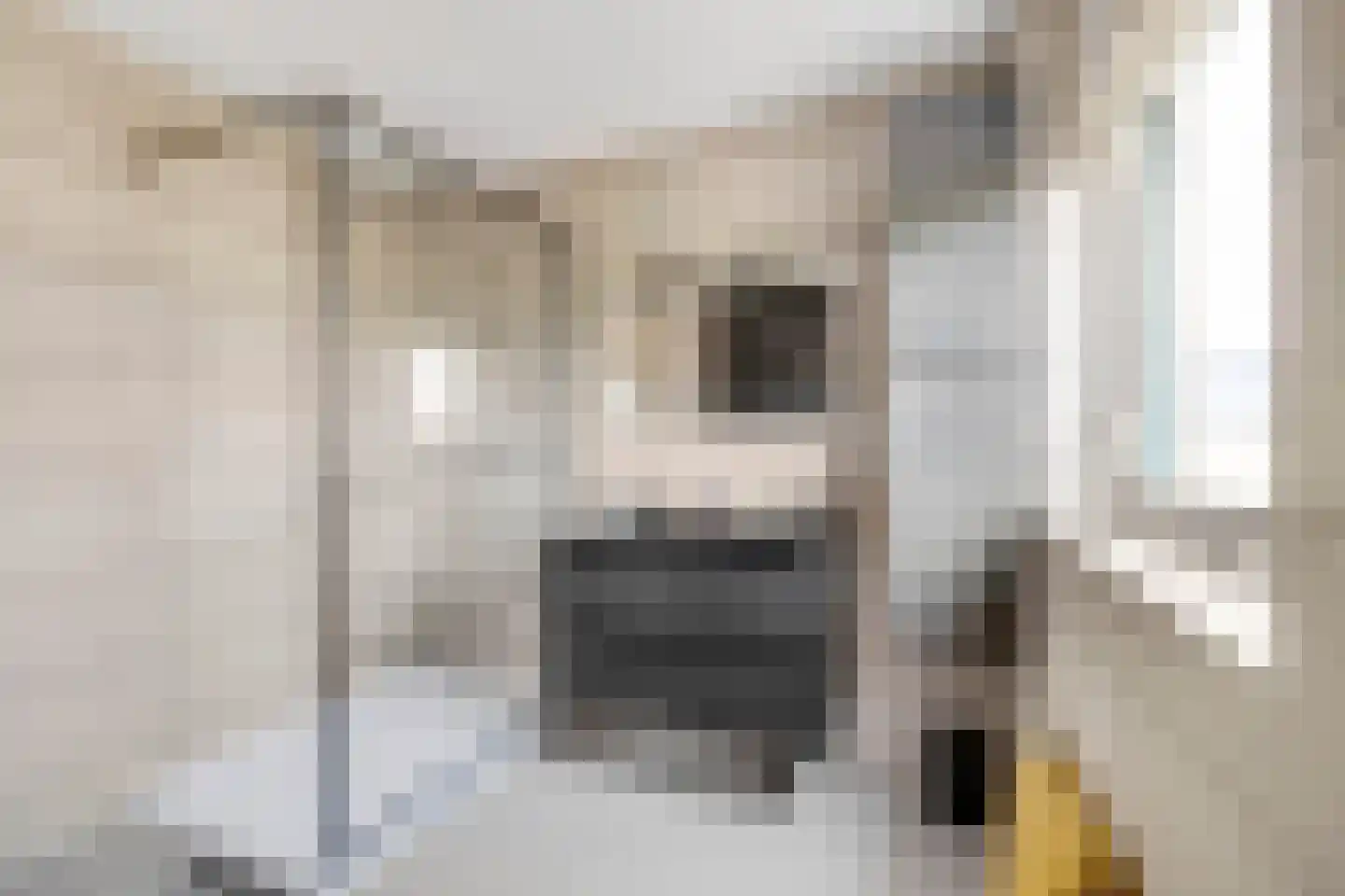 Landhoofd 64 Hellevoetsluis thumbnail 27