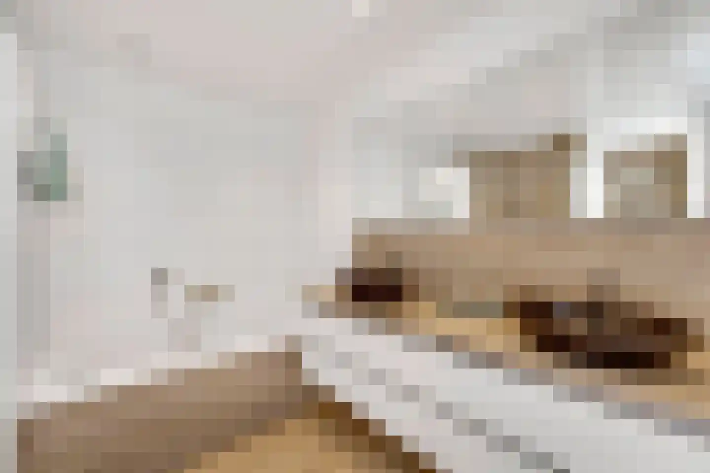 Landhoofd 64 Hellevoetsluis thumbnail 33