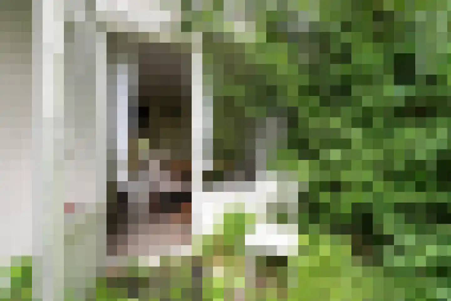 Landingsplaats 1 IJsselstein thumbnail 10