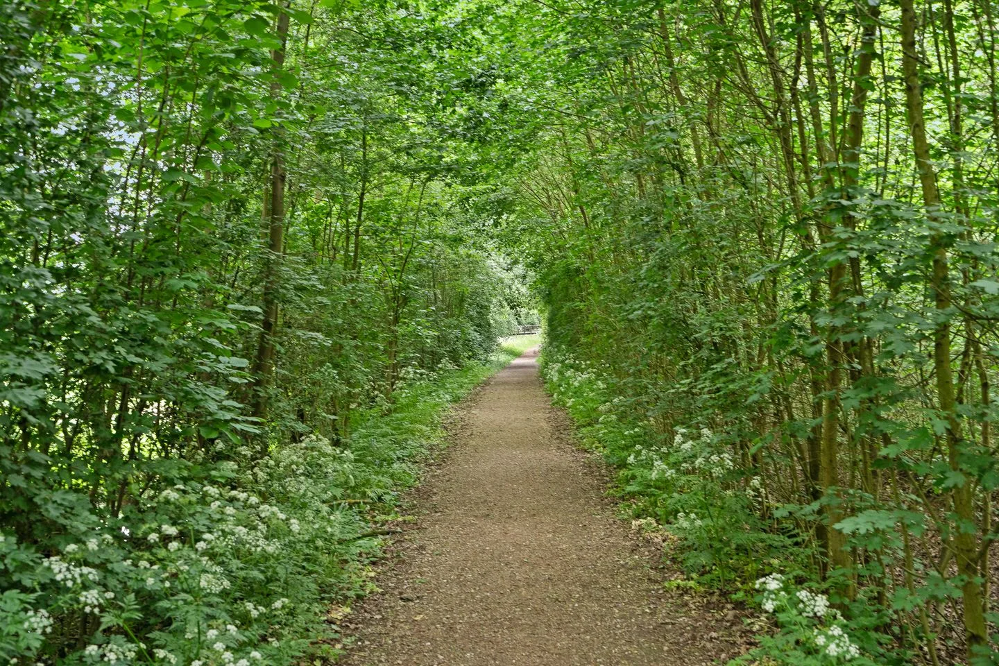 Landingsplaats 1 IJsselstein thumbnail 51