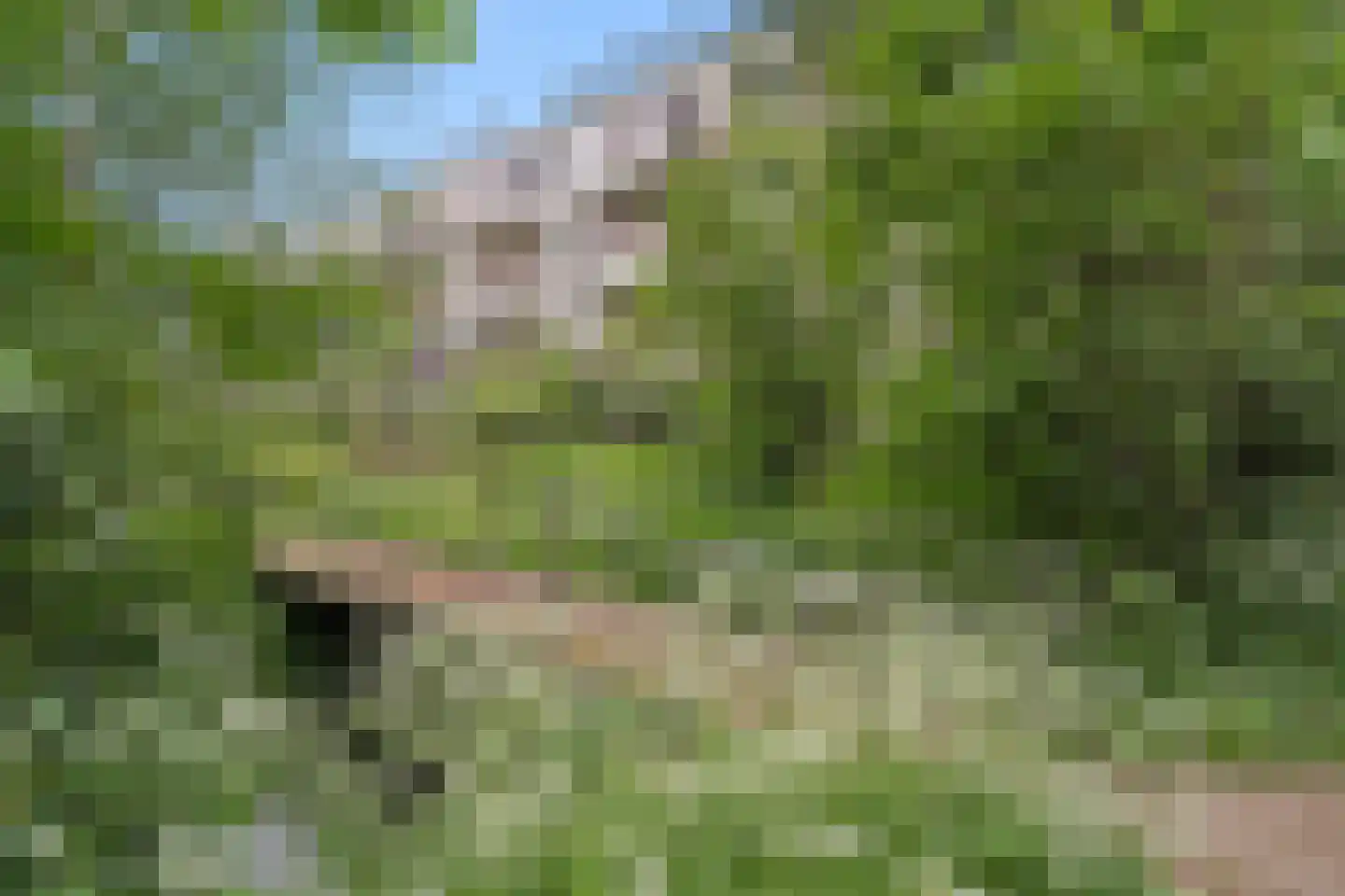 Landingsplaats 1 IJsselstein thumbnail 53