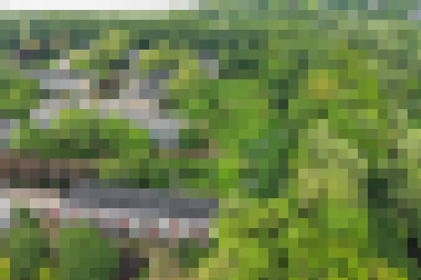 Landingsplaats 1 IJsselstein thumbnail 58