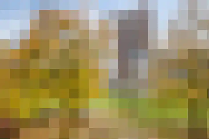 Landingsplaats 15 IJsselstein thumbnail 31