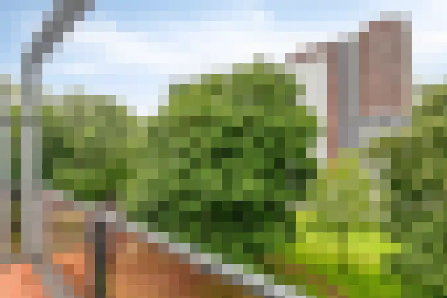 Landingsplaats 18 a IJsselstein thumbnail 22