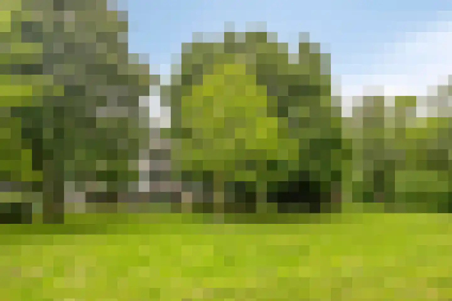 Landingsplaats 18 a IJsselstein thumbnail 26