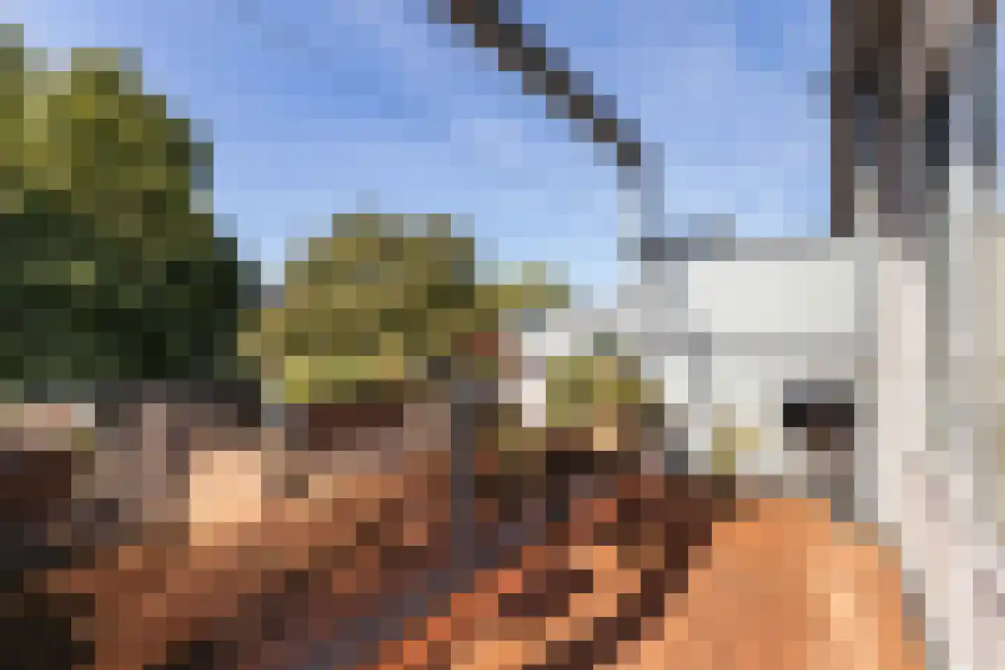 Landingsplaats 19 IJsselstein thumbnail 21