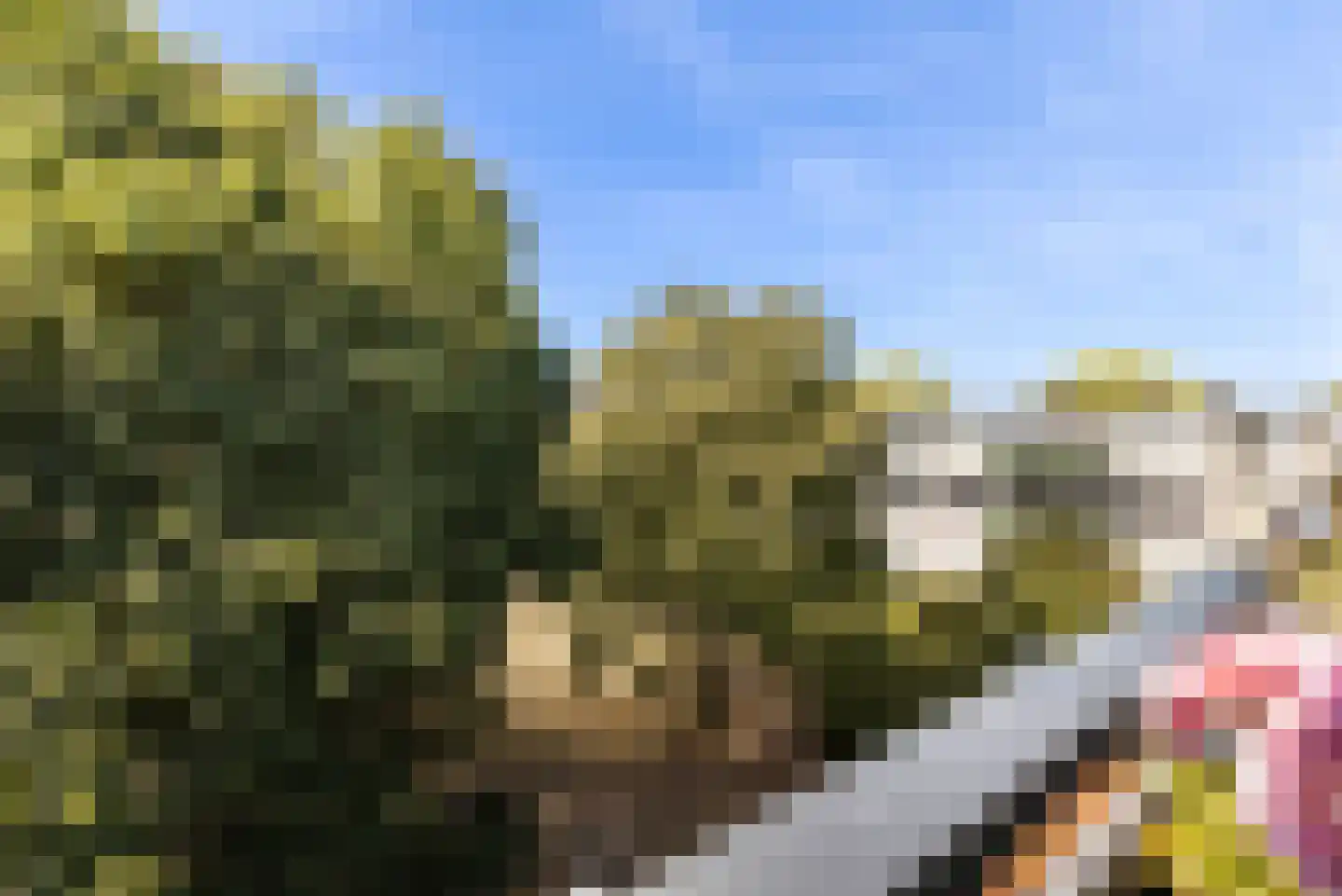 Landingsplaats 19 IJsselstein thumbnail 22