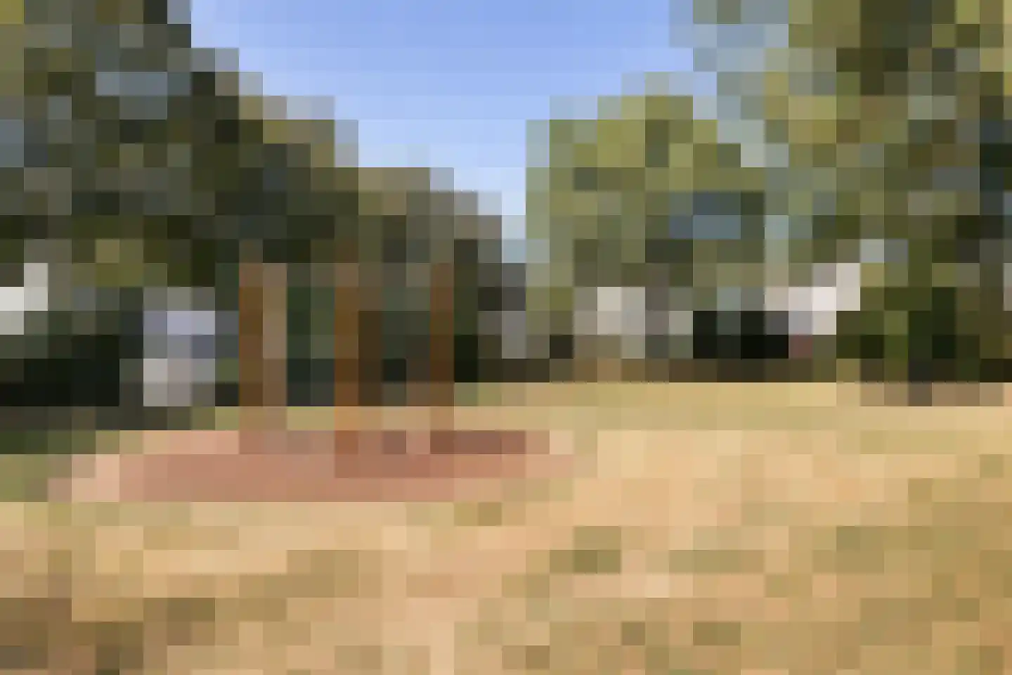 Landingsplaats 19 IJsselstein thumbnail 33