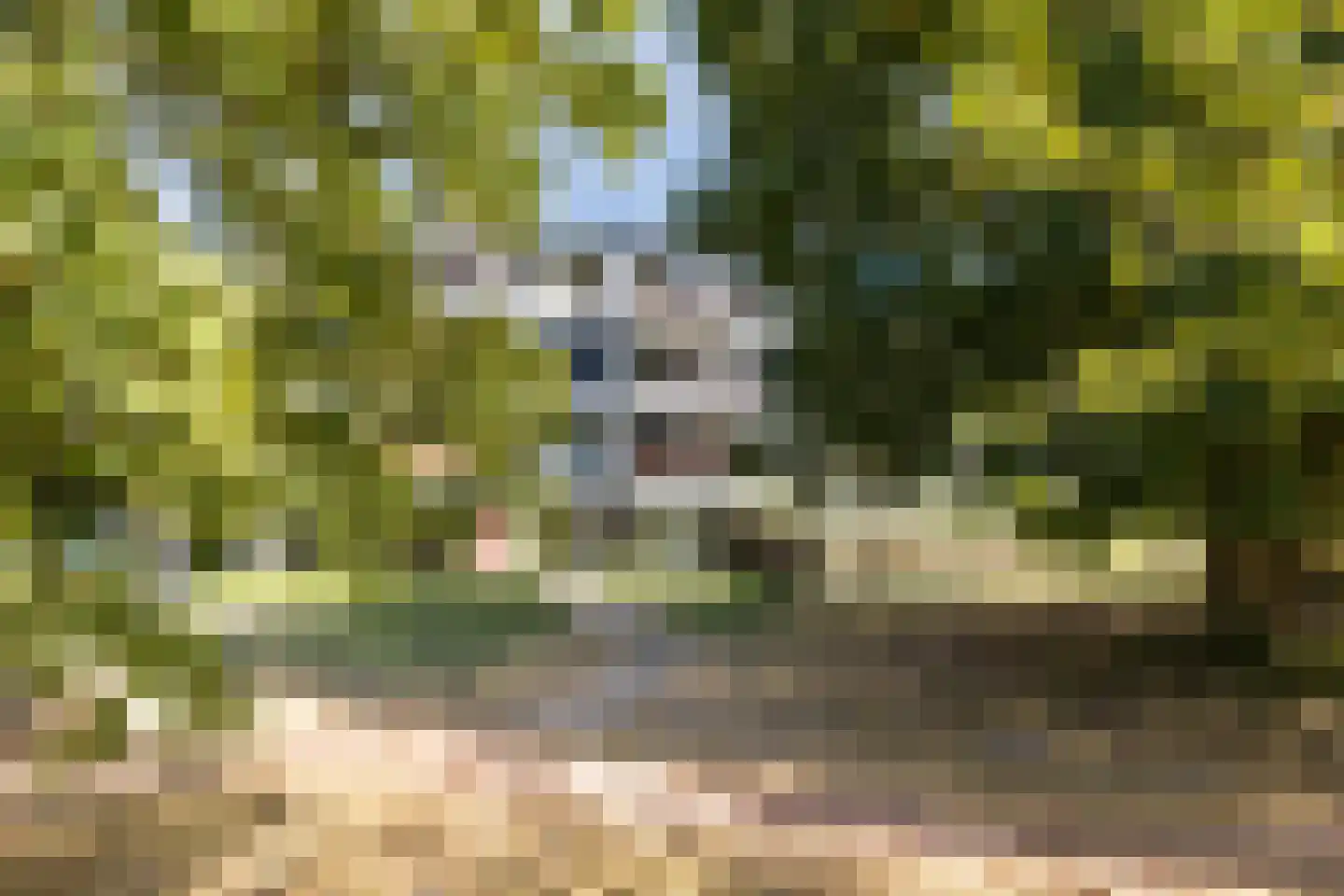Landingsplaats 19 IJsselstein thumbnail 5