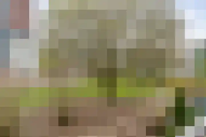 Landingsplaats 2 IJsselstein thumbnail 26