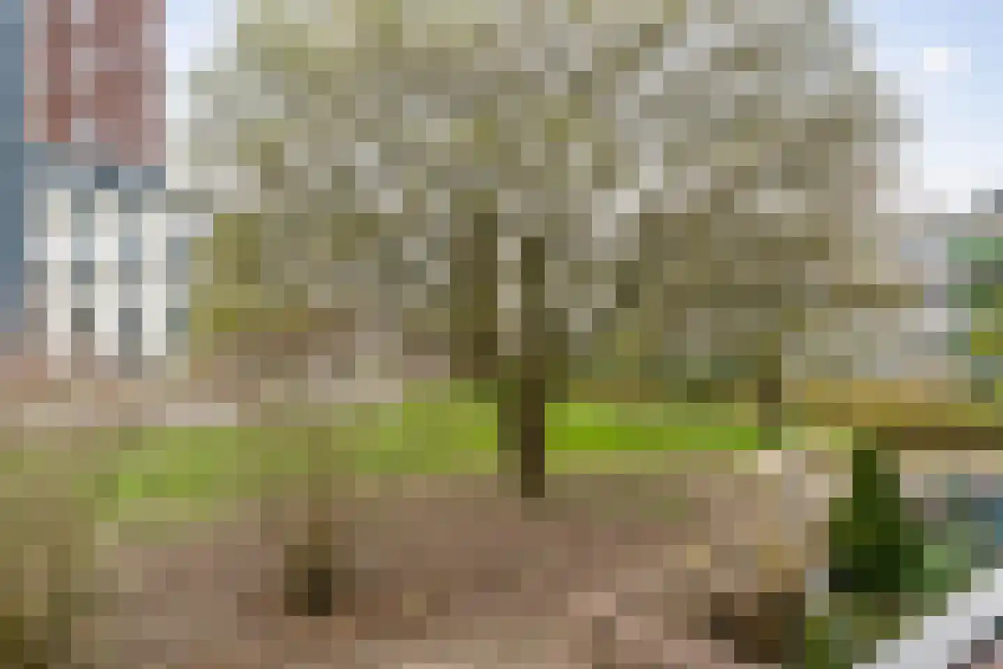 Landingsplaats 2 IJsselstein thumbnail 26